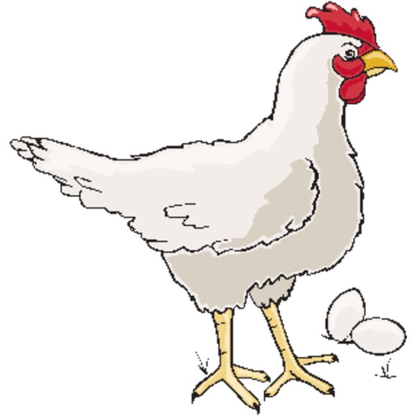 Chicken/Egg Thumbnail