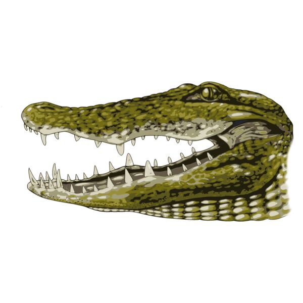 Gator Thumbnail
