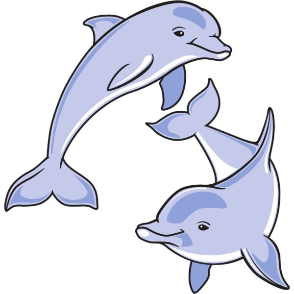 Dolphins Playing Thumbnail