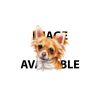Infant Baby Rib Bow Tie Bib Thumbnail
